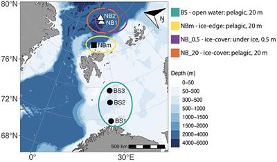 Diversity and Selection of Surface Marine Microbiomes in the Atlantic-Influenced Arctic